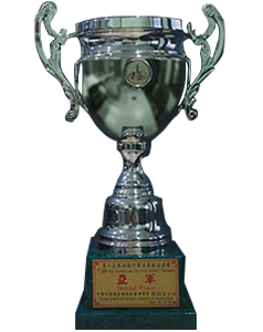 2006 2nd Place 7th Asia International Slow Pitch Softball Tournament
