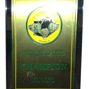 2012 ISM Softball Invitation Tournament Champion
