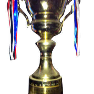 2012 Softball Invitational Champion