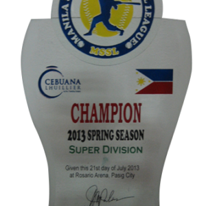 2013 MSSL Spring Season Super Division Champion